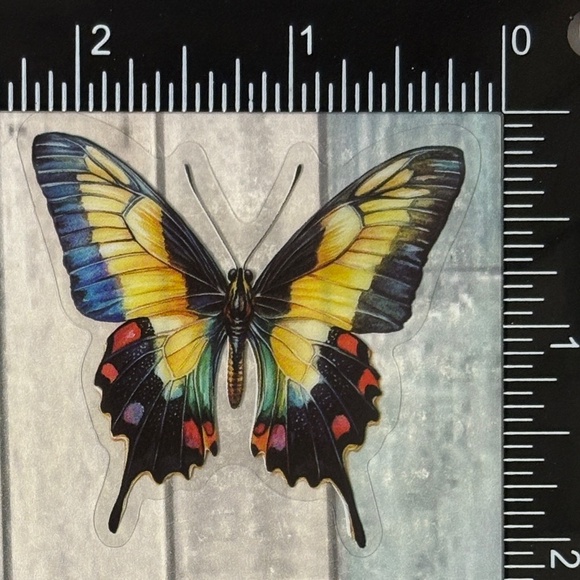 🌀10/$10🌀 Translucent Moth Dragonfly Beetle Reusable Waterproof Sticker Decal - Picture 1 of 1